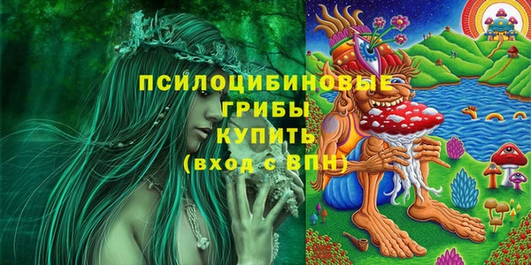 кокс Алзамай